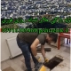 لوله بازکنی ملایر