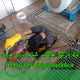 لوله بازکنی چابکسر