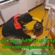 لوله بازکنی امیرکلا