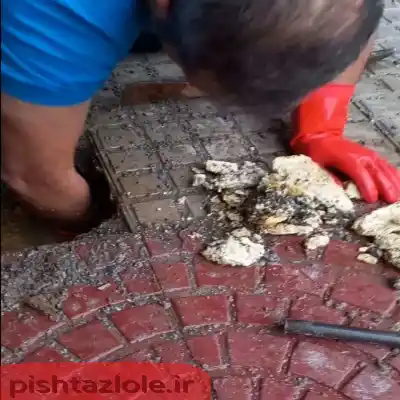 لوله بازکنی رویان