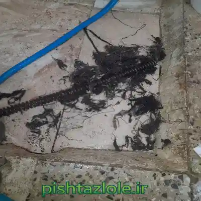 لوله بازکنی رویان