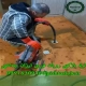 لوله بازکنی رویان