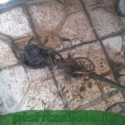لوله بازکنی لشت نشإ