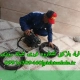 لوله بازکنی نشتارود