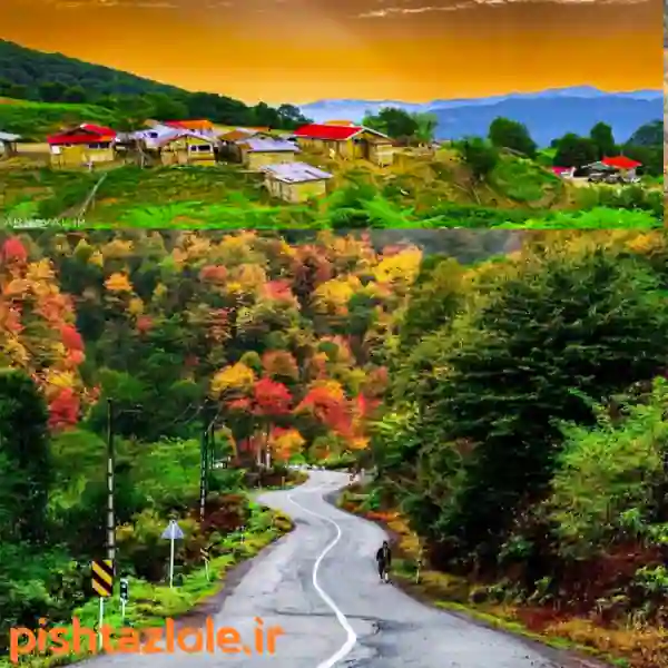 لوله بازکنی ماسال